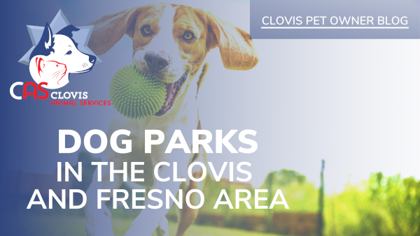 Off Leash Dog Parks in the Clovis & Fresno Area
